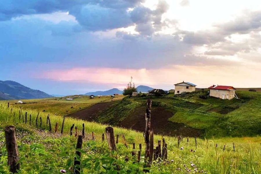 Soubatan Highlands Safari Tour