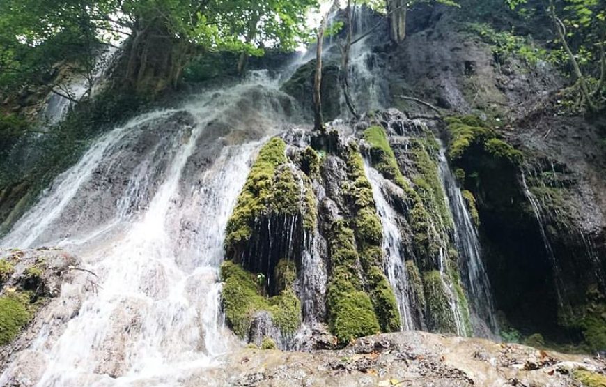 3-Day Tour of Hezarjarib Forest and Sambi Waterfall