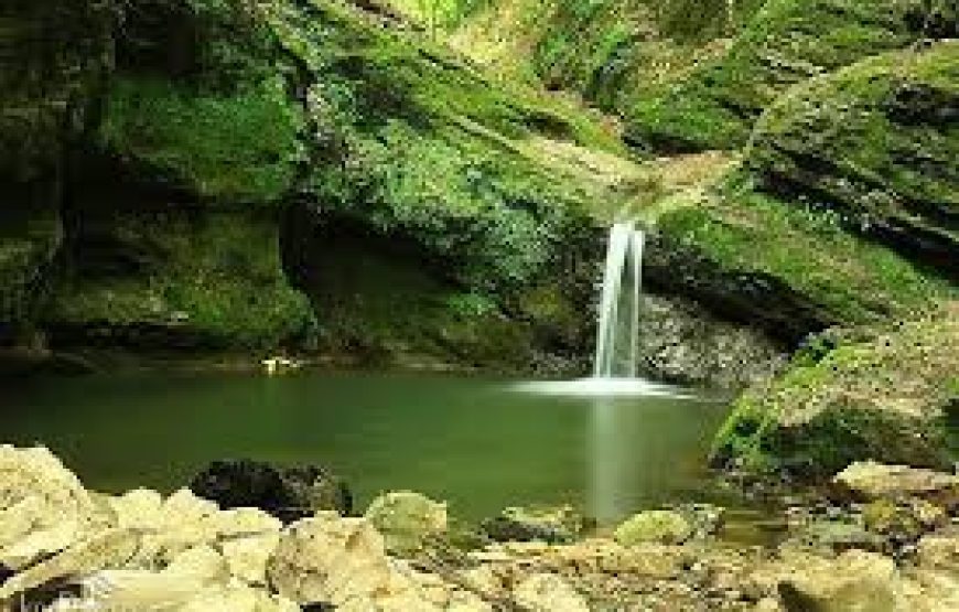 3-Day Tour of Hezarjarib Forest and Sambi Waterfall