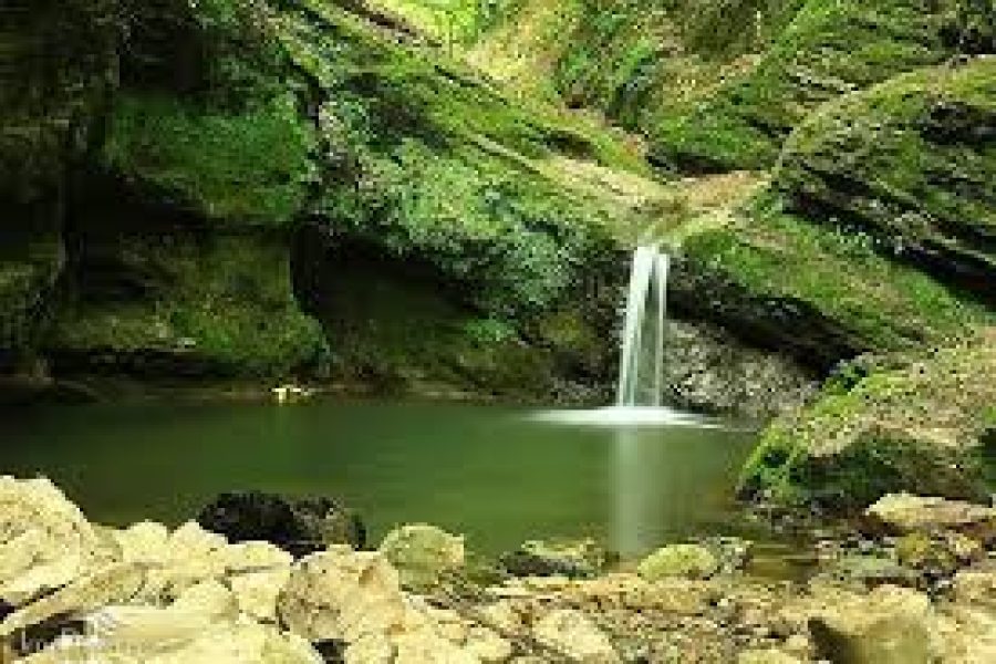 3-Day Tour of Hezarjarib Forest and Sambi Waterfall