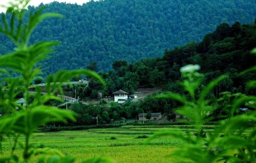 3-Day Masal Exploration Tour