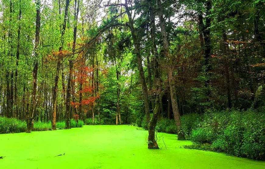 3-Day Masal Exploration Tour