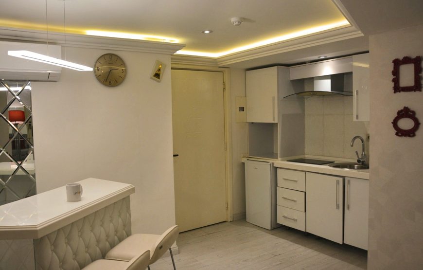 One Bedroom Apartment