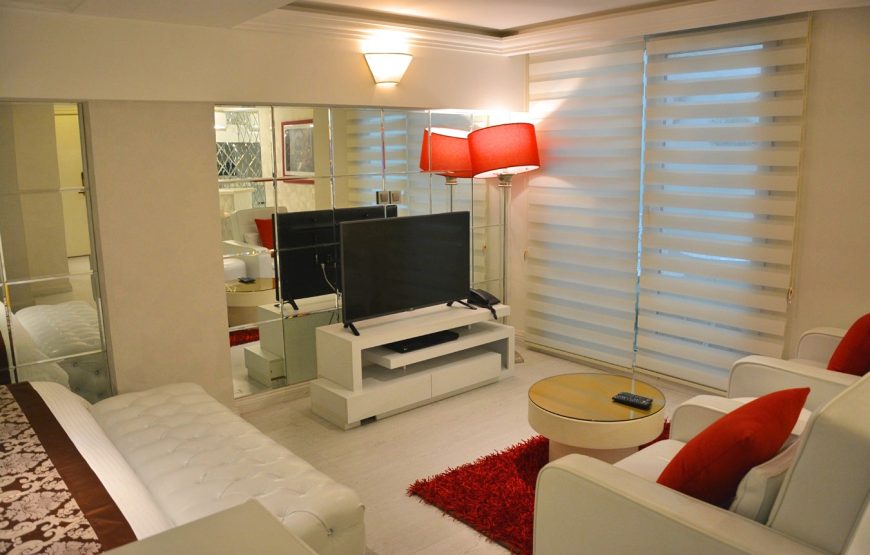 One Bedroom Apartment